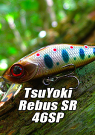 Обзор: Обзор TsuYoki Rebus SR 46SP. Ловчая малявка